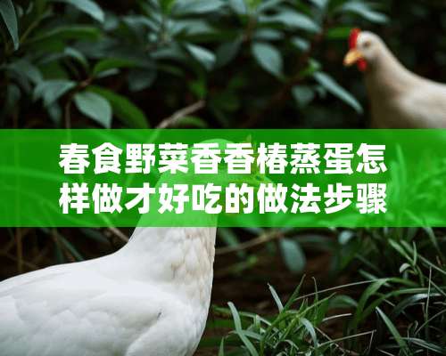 春食野菜香香椿蒸蛋怎样做才好吃的做法步骤