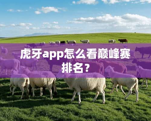 **app怎么看巅峰赛排名？