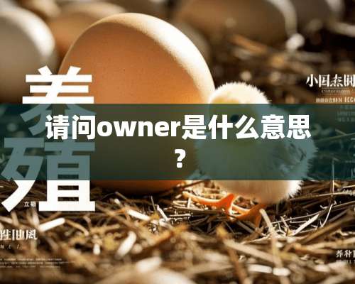 请问owner是什么意思？