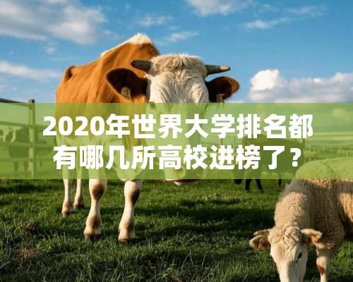 2020年世界大学排名都有哪几所高校进榜了？