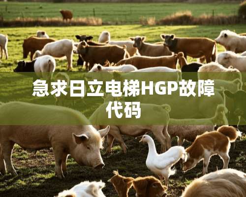 急求日立电梯HGP故障代码