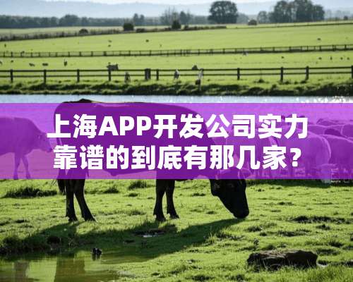 上海APP开发公司实力靠谱的到底有那几家？