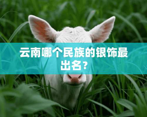 云南哪个民族的银饰最出名？