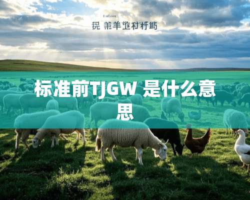 标准前TJGW 是什么意思