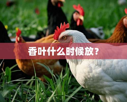 香叶什么时候放？