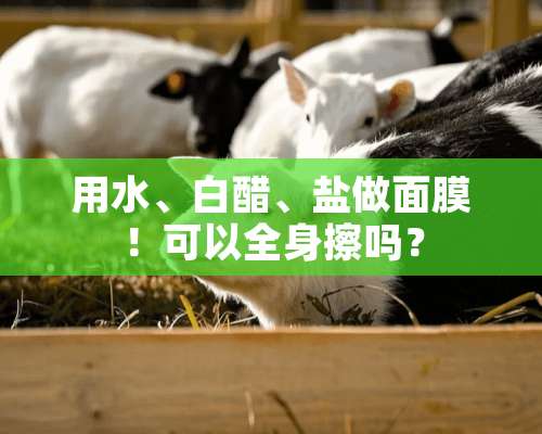 用水、白醋、盐做面膜！可以全身擦吗？