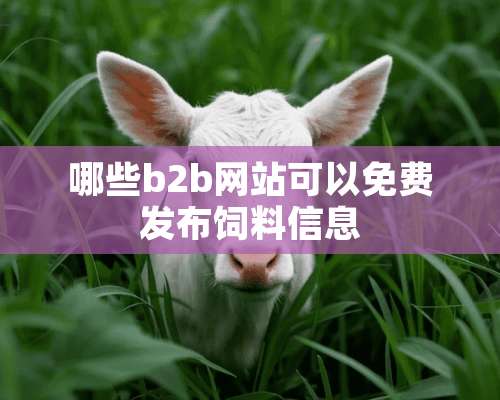 哪些b2b网站可以免费发布饲料信息