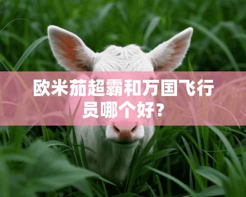 欧米茄超霸和万国飞行员哪个好？