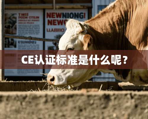 CE认证标准是什么呢？