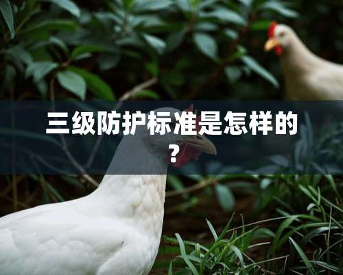 **防护标准是怎样的？