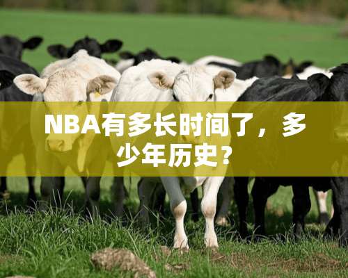 NBA有多长时间了，多少年历史？