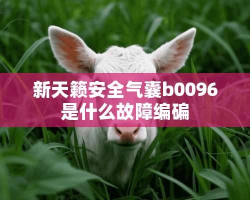 新天籁安全气囊b0096是什么故障编碥