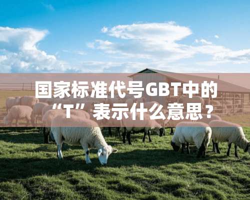 国家标准代号GBT中的“T”表示什么意思？