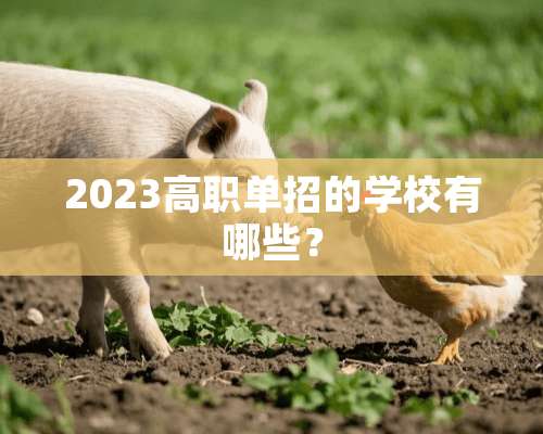 2023高职单招的学校有哪些？