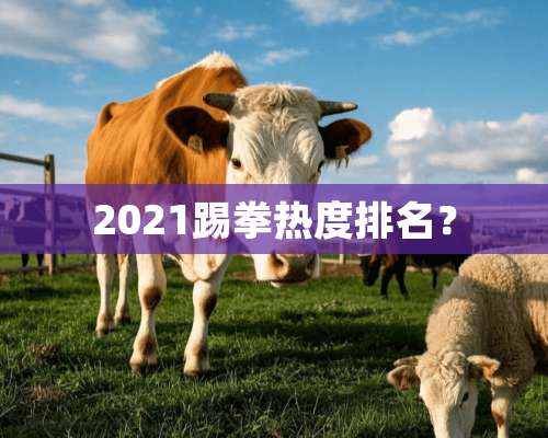 2021踢拳热度排名？