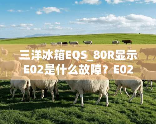 三洋冰箱EQS_80R显示E02是什么故障？E02