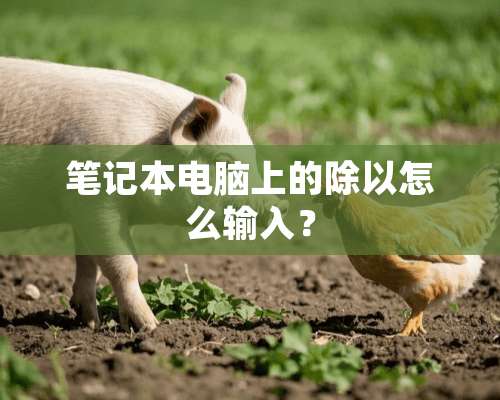 笔记本电脑上的除以怎么输入？