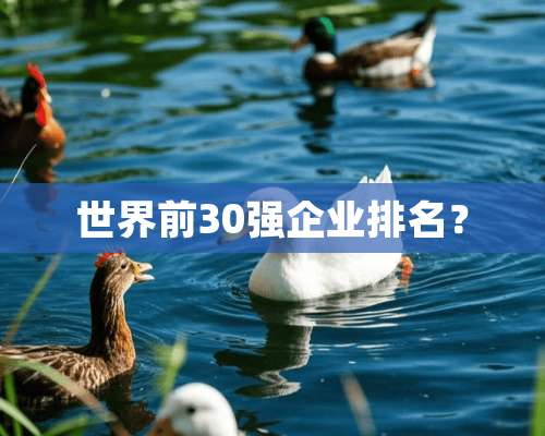 世界前30强企业排名？