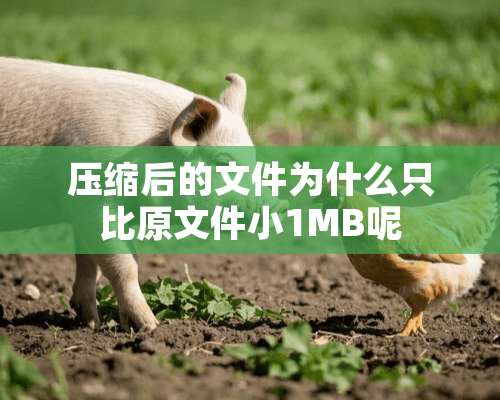 压缩后的文件为什么只比原文件小1MB呢