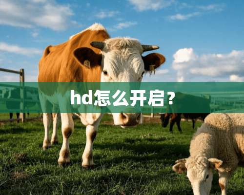 hd怎么开启？