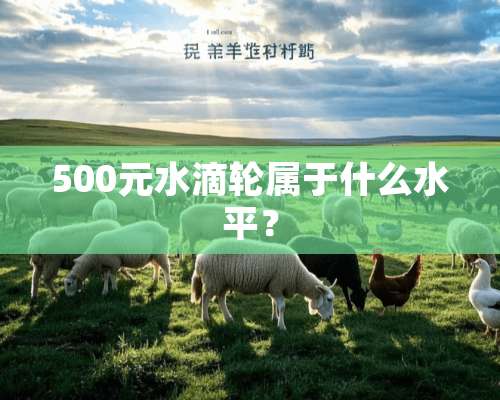 500元水滴轮属于什么水平？