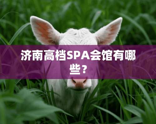 济南高档SPA会馆有哪些？