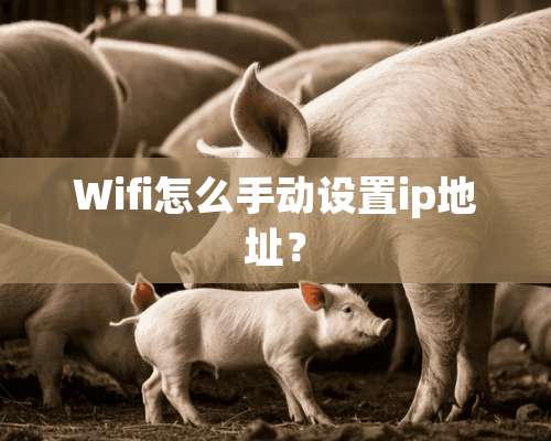 Wifi怎么手动设置ip地址？