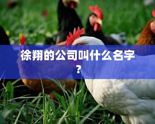 徐翔的公司叫什么名字？