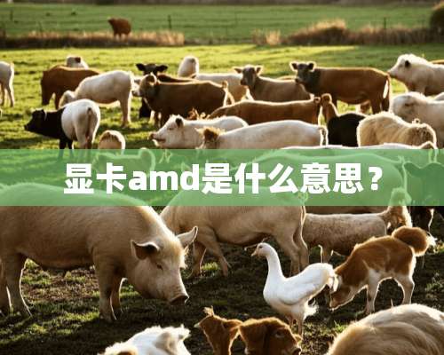 显卡amd是什么意思？