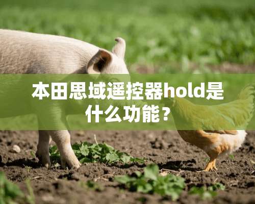 本田思域***hold是什么功能？