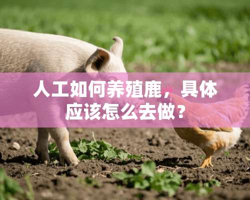 人工如何养殖鹿，具体应该怎么去做？