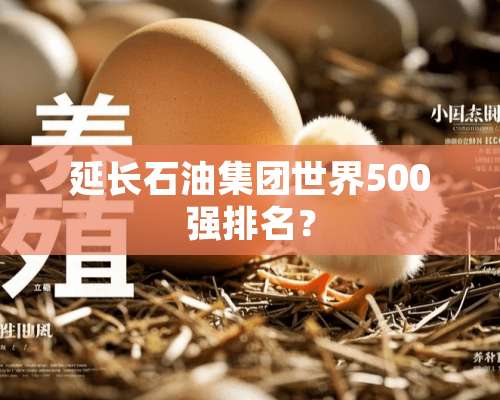 延长石油集团世界500强排名？