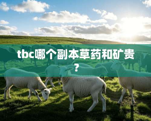 tbc哪个副本草药和矿贵？