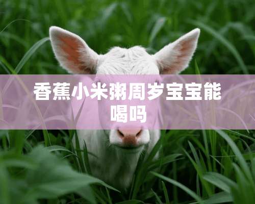 香蕉小米粥周岁宝宝能喝吗