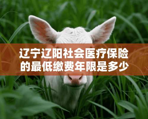 辽宁辽阳社会医疗保险的最低缴费年限是多少年？