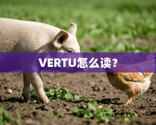 VERTU怎么读？