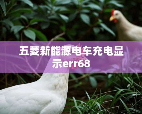 五菱新能源电车充电显示err68