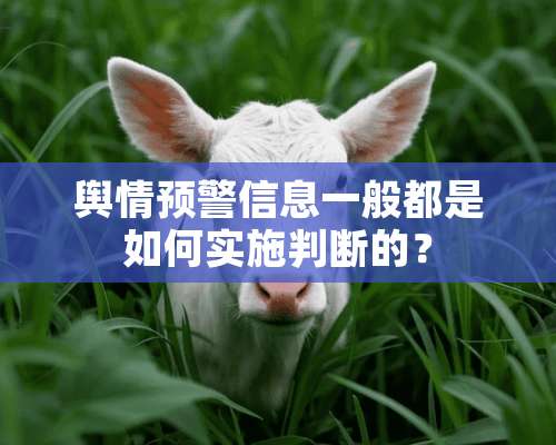 舆情预警信息一般都是如何实施判断的？