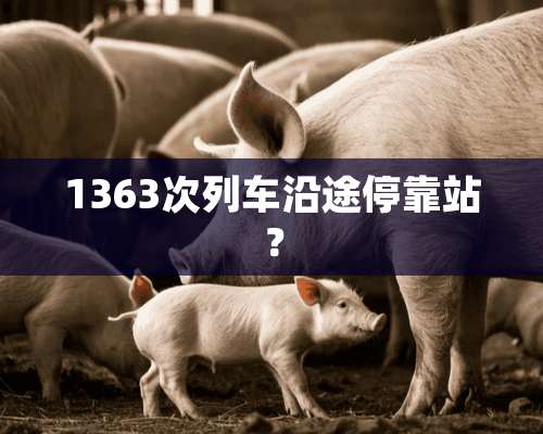 1363次列车沿途停靠站？