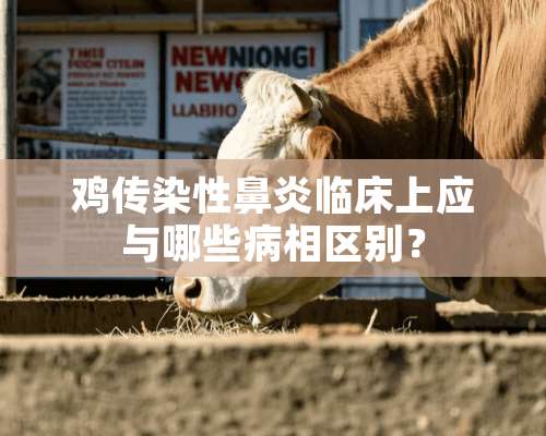 鸡传染性鼻炎临床上应与哪些病相区别？