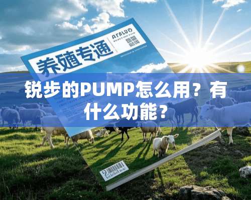 锐步的PUMP怎么用？有什么功能？