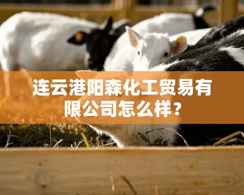 连云港阳森化工贸易有限公司怎么样？