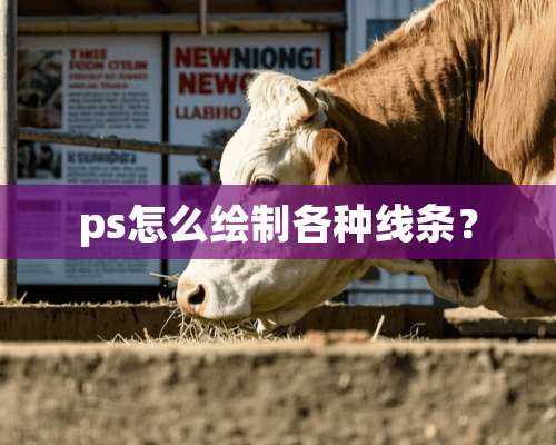 ps怎么绘制各种线条？