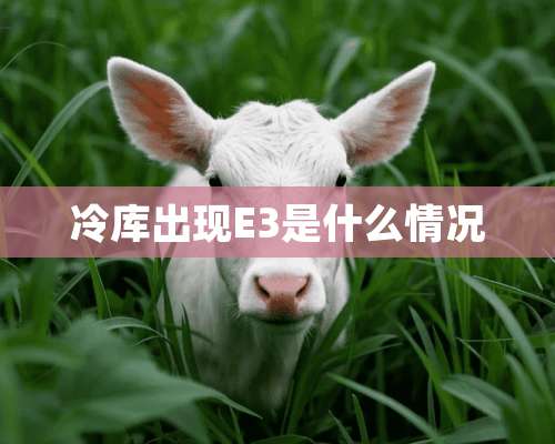 冷库出现E3是什么情况