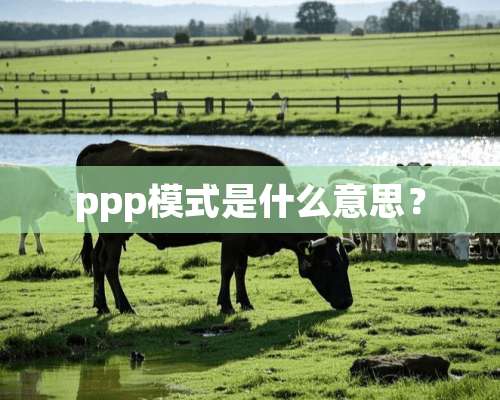 ppp模式是什么意思？