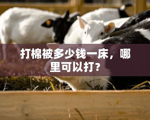 打棉被多少钱一床，哪里可以打？