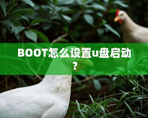 BOOT怎么设置u盘启动？