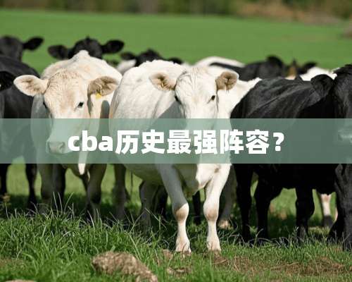 cba历史最强阵容？