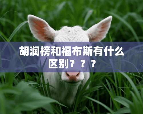 胡润榜和福布斯有什么区别？？？