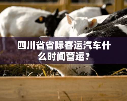 四川省省际客运汽车什么时间营运？